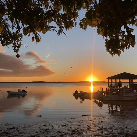 Conch Shell Harbour Island Home Dunmore Town Buitenkant foto