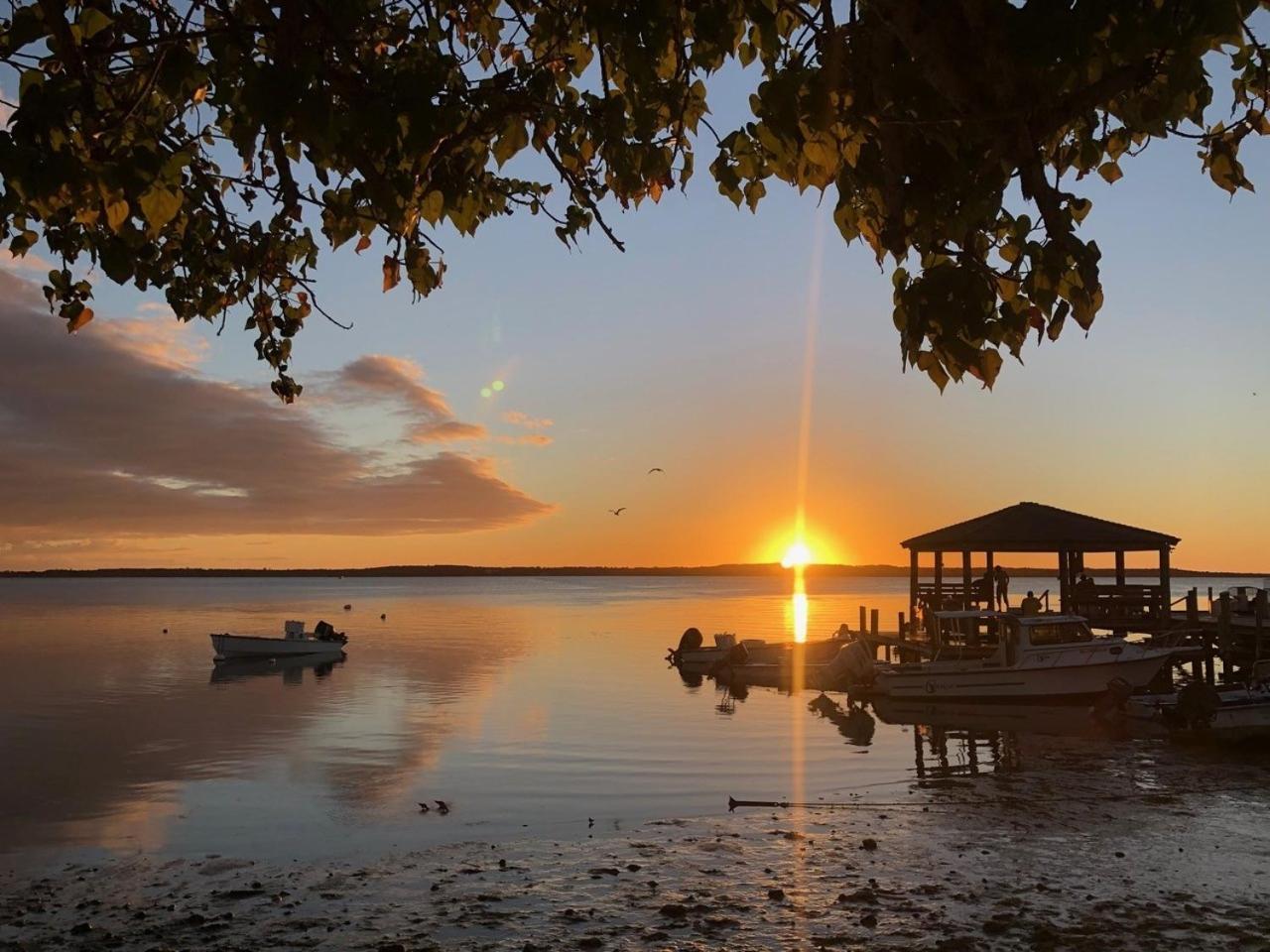 Conch Shell Harbour Island Home Dunmore Town Buitenkant foto